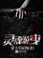 入赘王婿叶凡唐若雪