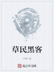 草民黑客